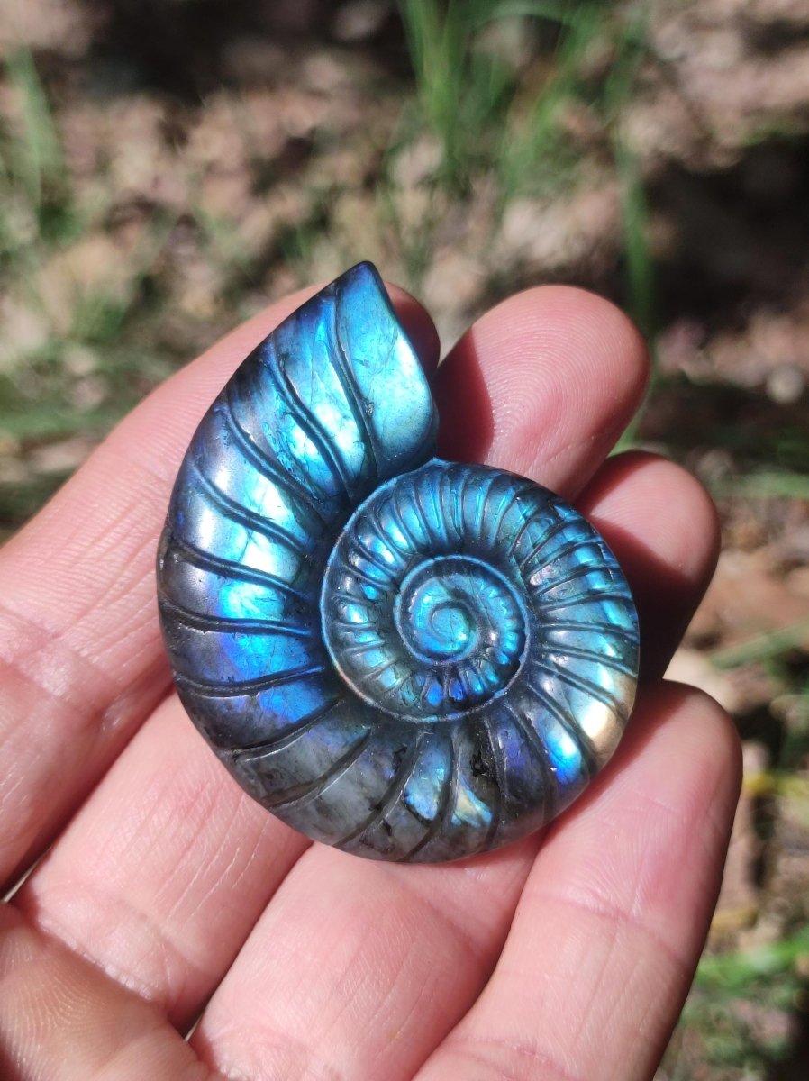 Labradorit AAA - Edelstein Ammonite Deko Kristall Spielkugel Meditation Heilstein Frau Mann Geschenk Er Sie Haus Energie Wohn Traum Schimmer - Art of Nature Berlin