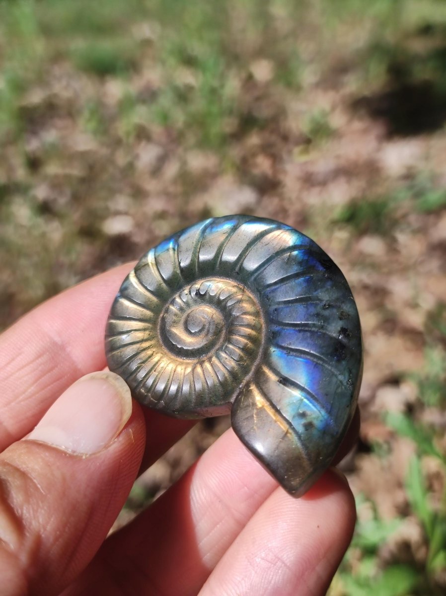 Labradorit AAA - Edelstein Ammonite Deko Kristall Spielkugel Meditation Heilstein Frau Mann Geschenk Er Sie Haus Energie Wohn Traum Schimmer - Art of Nature Berlin