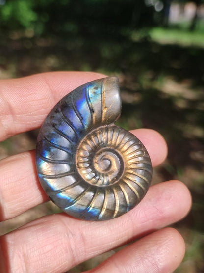 Labradorit AAA - Edelstein Ammonite Deko Kristall Spielkugel Meditation Heilstein Frau Mann Geschenk Er Sie Haus Energie Wohn Traum Schimmer - Art of Nature Berlin