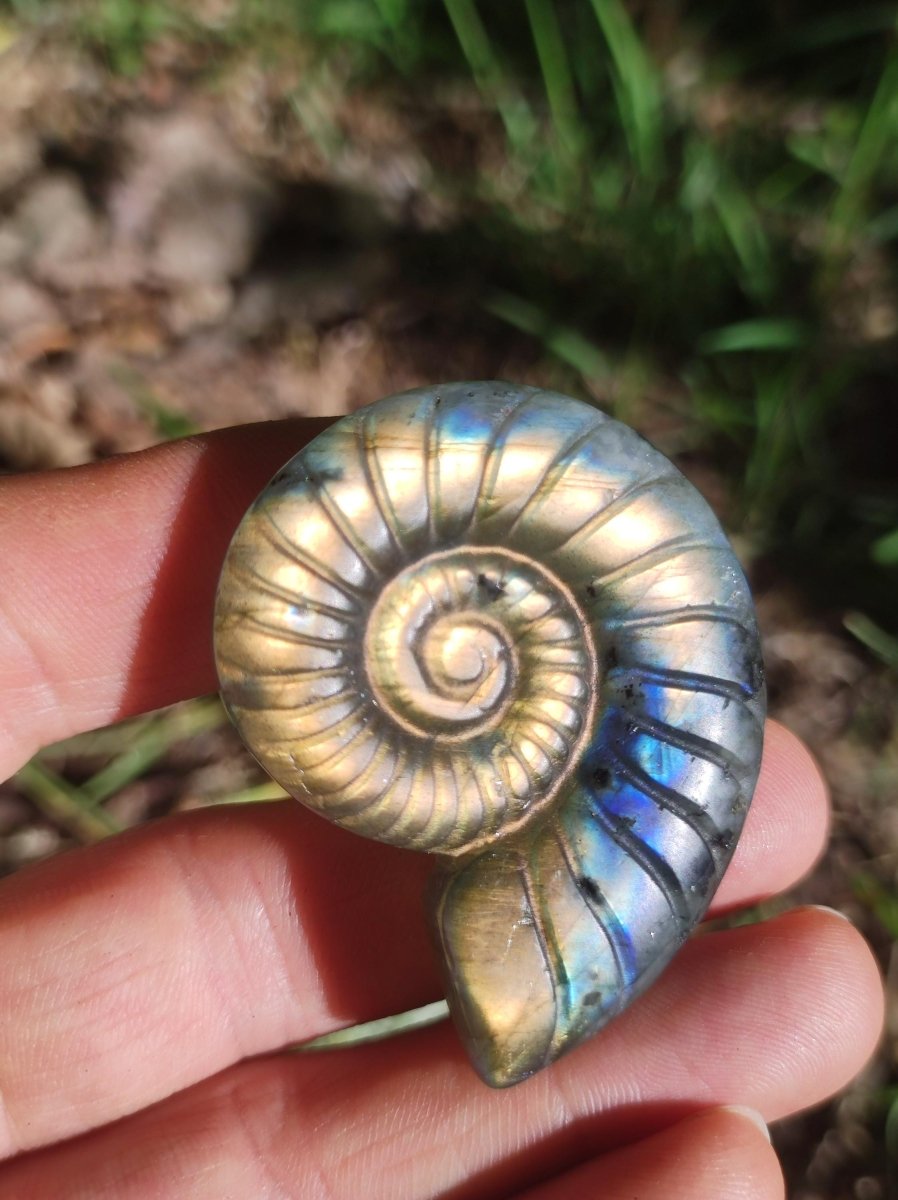 Labradorit AAA - Edelstein Ammonite Deko Kristall Spielkugel Meditation Heilstein Frau Mann Geschenk Er Sie Haus Energie Wohn Traum Schimmer - Art of Nature Berlin