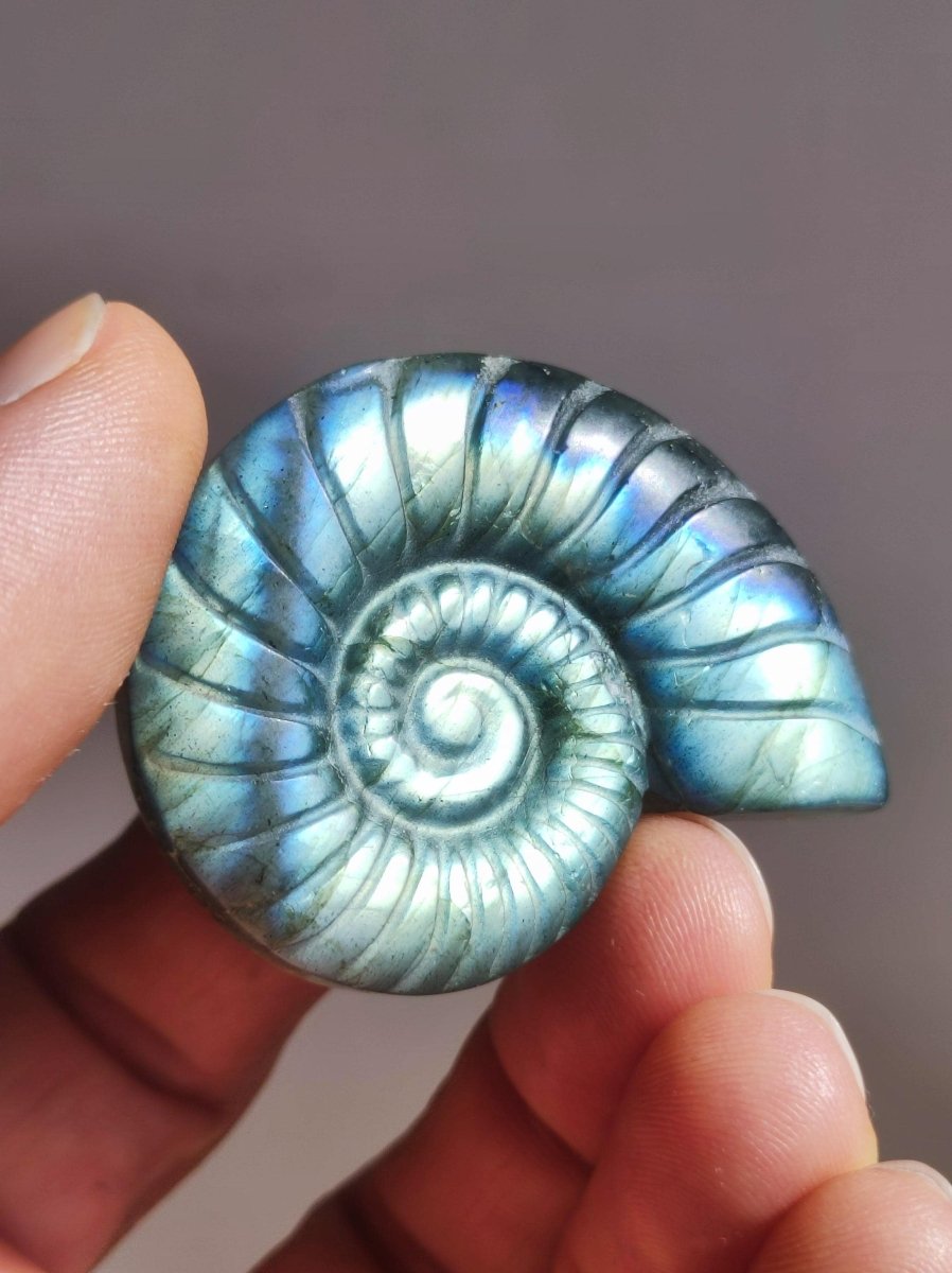 Labradorit AAA - Edelstein Ammonite Deko Kristall Spielkugel Meditation Heilstein Frau Mann Geschenk Er Sie Haus Energie Wohn Traum Schimmer - Art of Nature Berlin