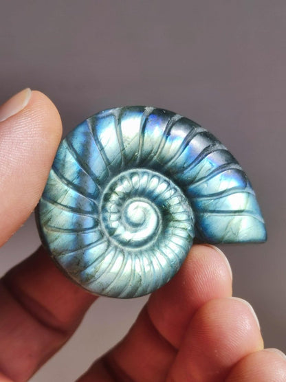 Labradorit AAA - Edelstein Ammonite Deko Kristall Spielkugel Meditation Heilstein Frau Mann Geschenk Er Sie Haus Energie Wohn Traum Schimmer - Art of Nature Berlin