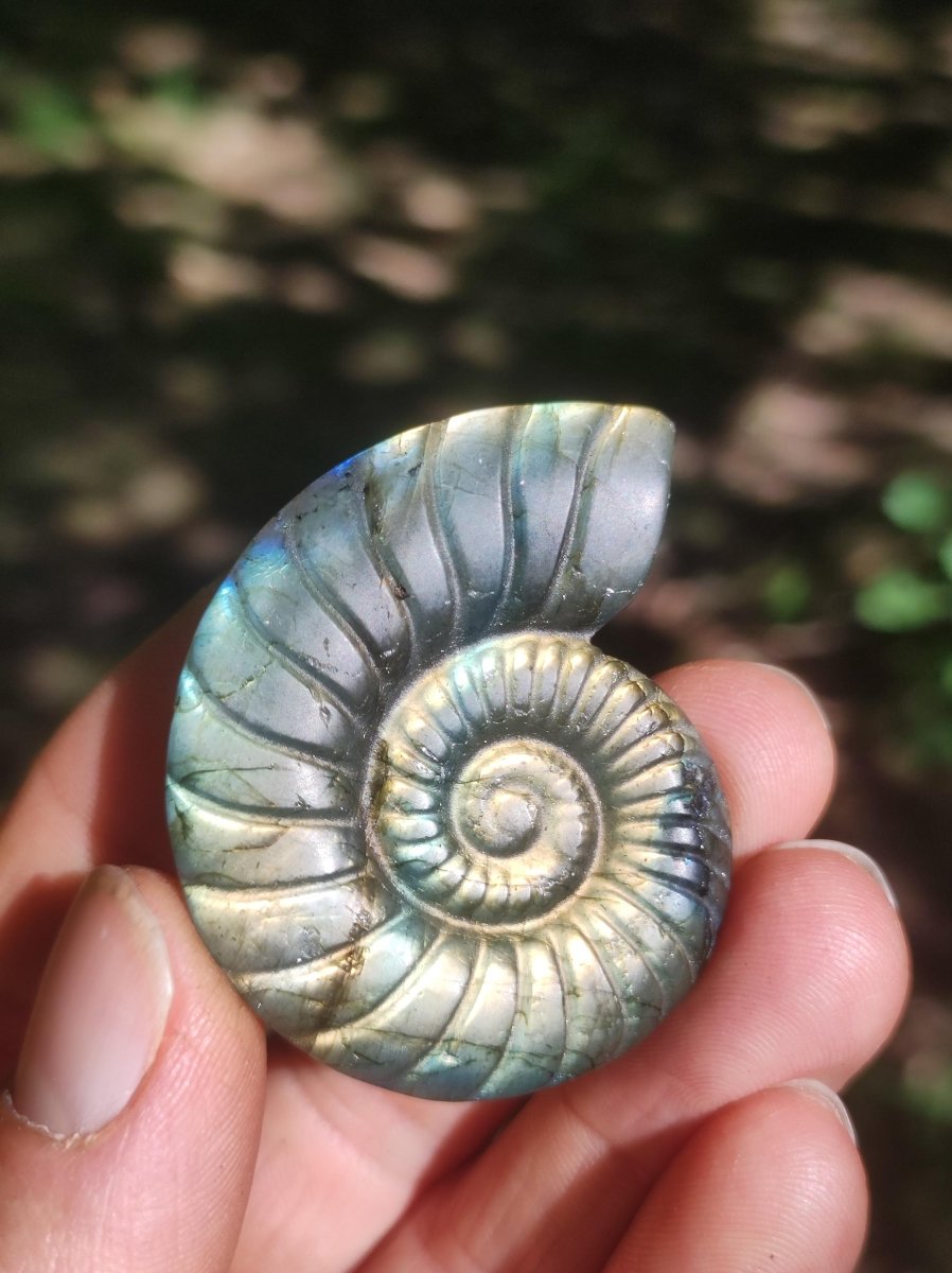 Labradorit AAA - Edelstein Ammonite Deko Kristall Spielkugel Meditation Heilstein Frau Mann Geschenk Er Sie Haus Energie Wohn Traum Schimmer - Art of Nature Berlin