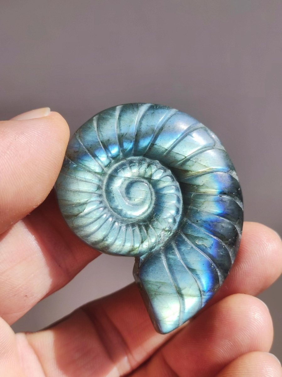 Labradorit AAA - Edelstein Ammonite Deko Kristall Spielkugel Meditation Heilstein Frau Mann Geschenk Er Sie Haus Energie Wohn Traum Schimmer - Art of Nature Berlin