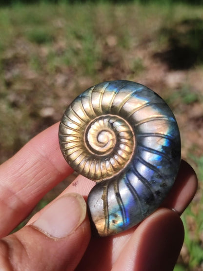 Labradorit AAA - Edelstein Ammonite Deko Kristall Spielkugel Meditation Heilstein Frau Mann Geschenk Er Sie Haus Energie Wohn Traum Schimmer - Art of Nature Berlin