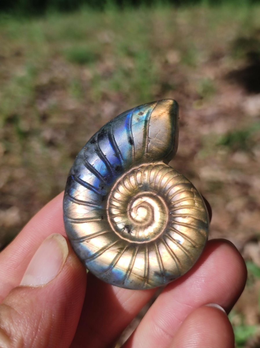 Labradorit AAA - Edelstein Ammonite Deko Kristall Spielkugel Meditation Heilstein Frau Mann Geschenk Er Sie Haus Energie Wohn Traum Schimmer - Art of Nature Berlin