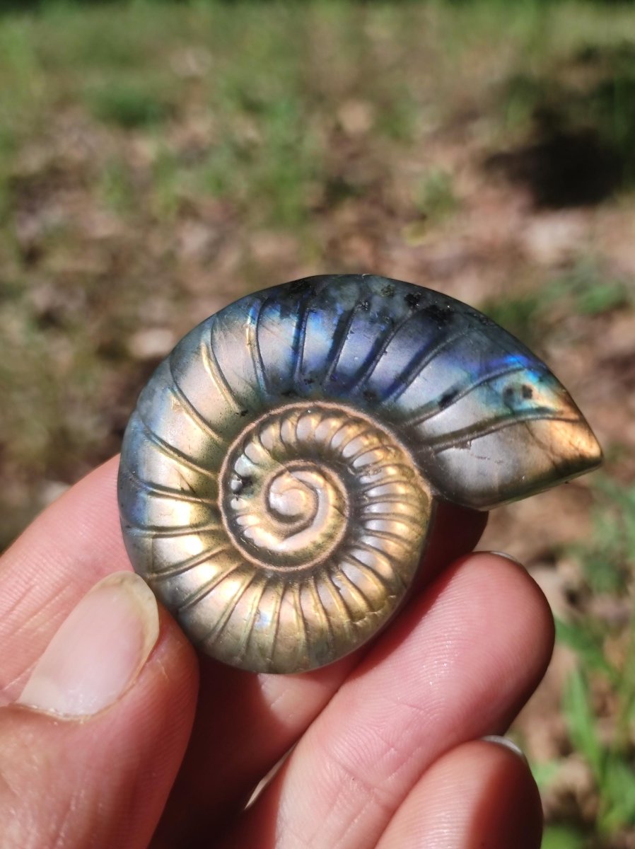 Labradorit AAA - Edelstein Ammonite Deko Kristall Spielkugel Meditation Heilstein Frau Mann Geschenk Er Sie Haus Energie Wohn Traum Schimmer - Art of Nature Berlin