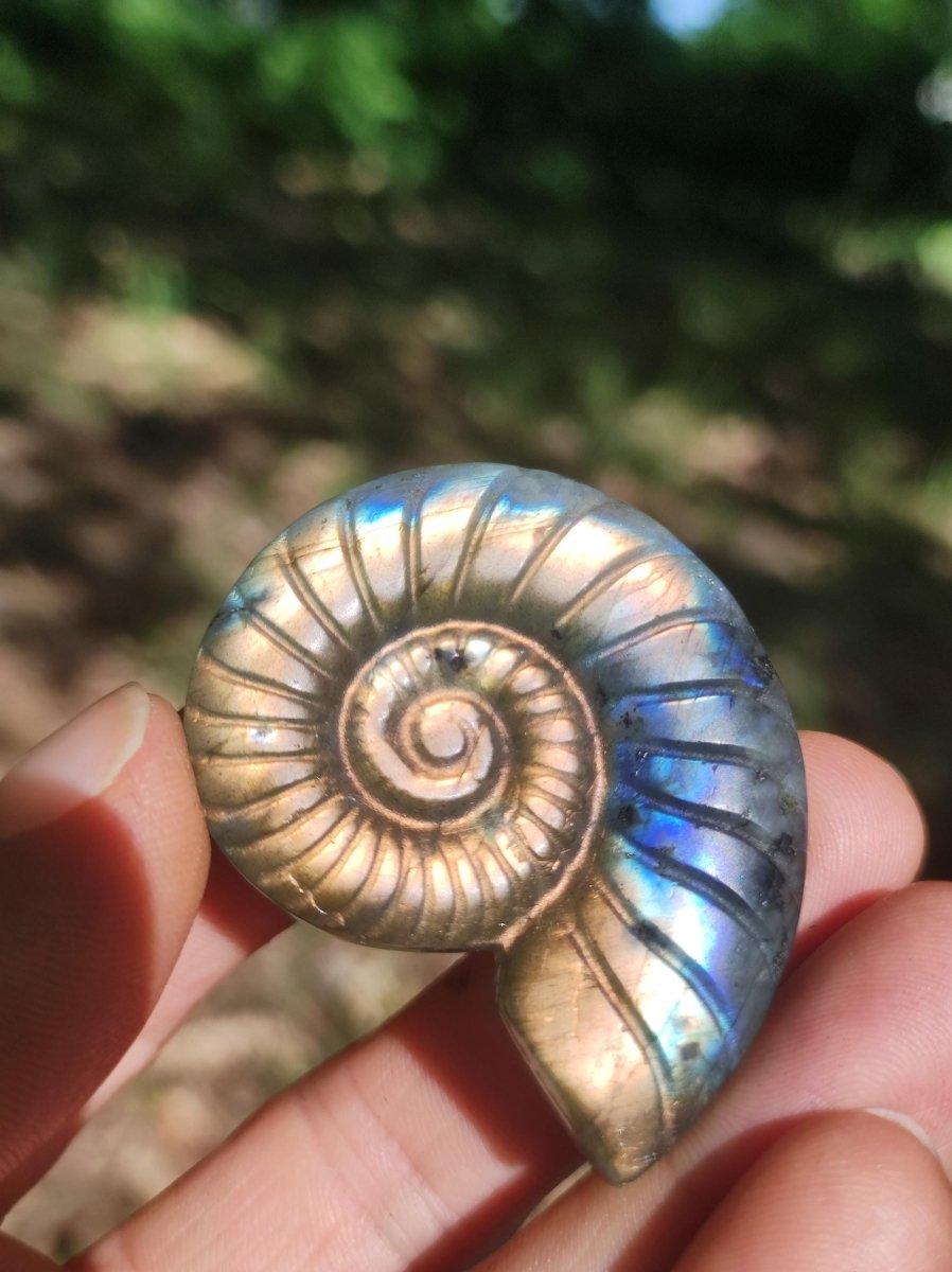 Labradorit AAA - Edelstein Ammonite Deko Kristall Spielkugel Meditation Heilstein Frau Mann Geschenk Er Sie Haus Energie Wohn Traum Schimmer - Art of Nature Berlin