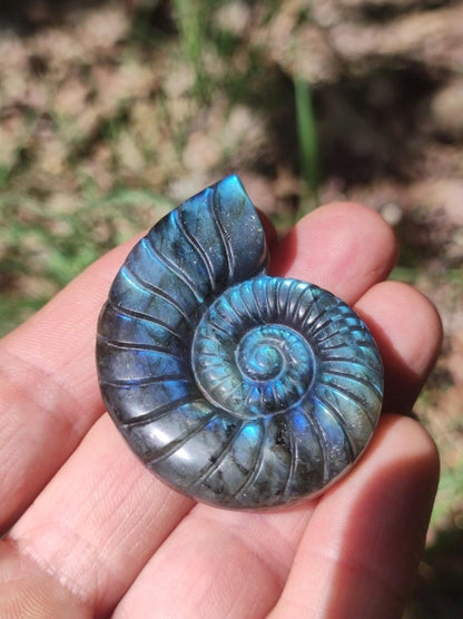 Labradorit AAA - Edelstein Ammonite Deko Kristall Spielkugel Meditation Heilstein Frau Mann Geschenk Er Sie Haus Energie Wohn Traum Schimmer - Art of Nature Berlin