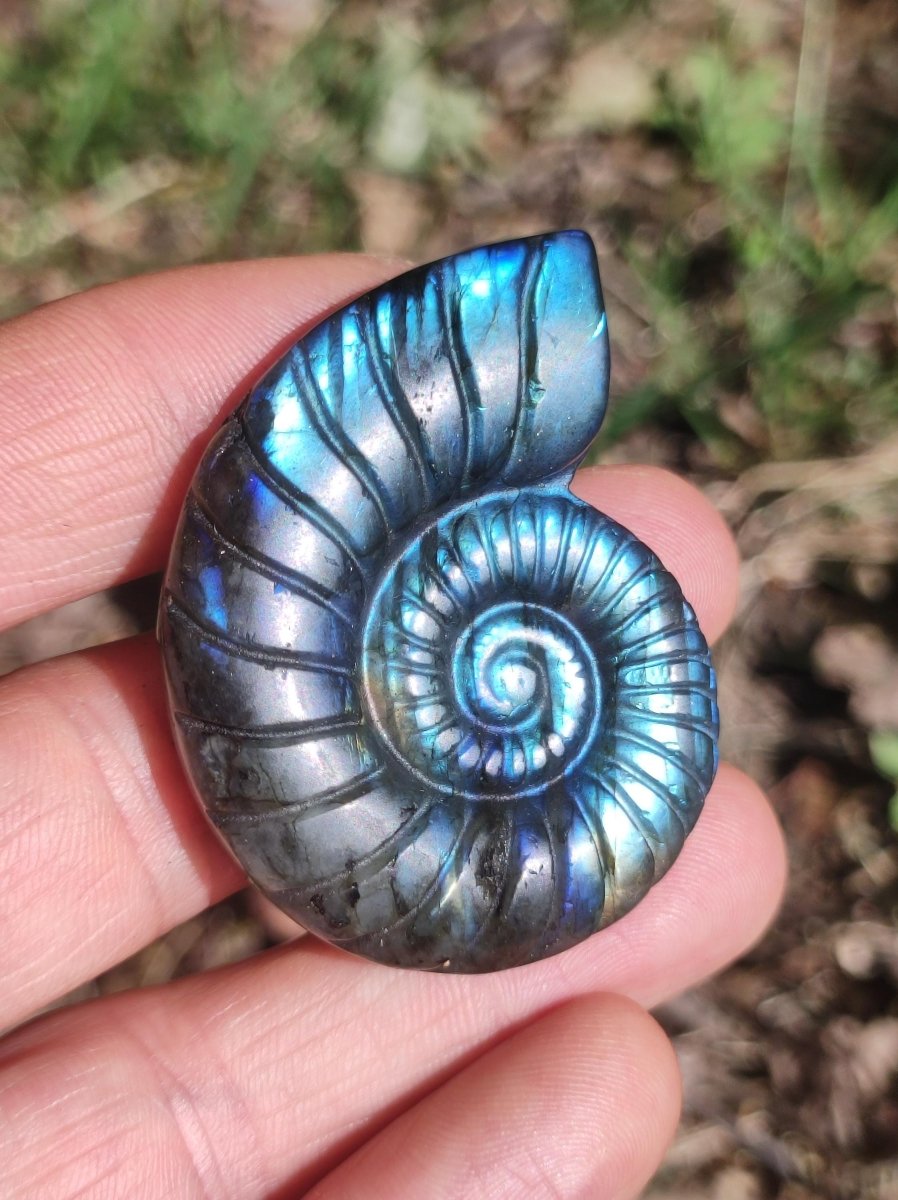 Labradorit AAA - Edelstein Ammonite Deko Kristall Spielkugel Meditation Heilstein Frau Mann Geschenk Er Sie Haus Energie Wohn Traum Schimmer - Art of Nature Berlin