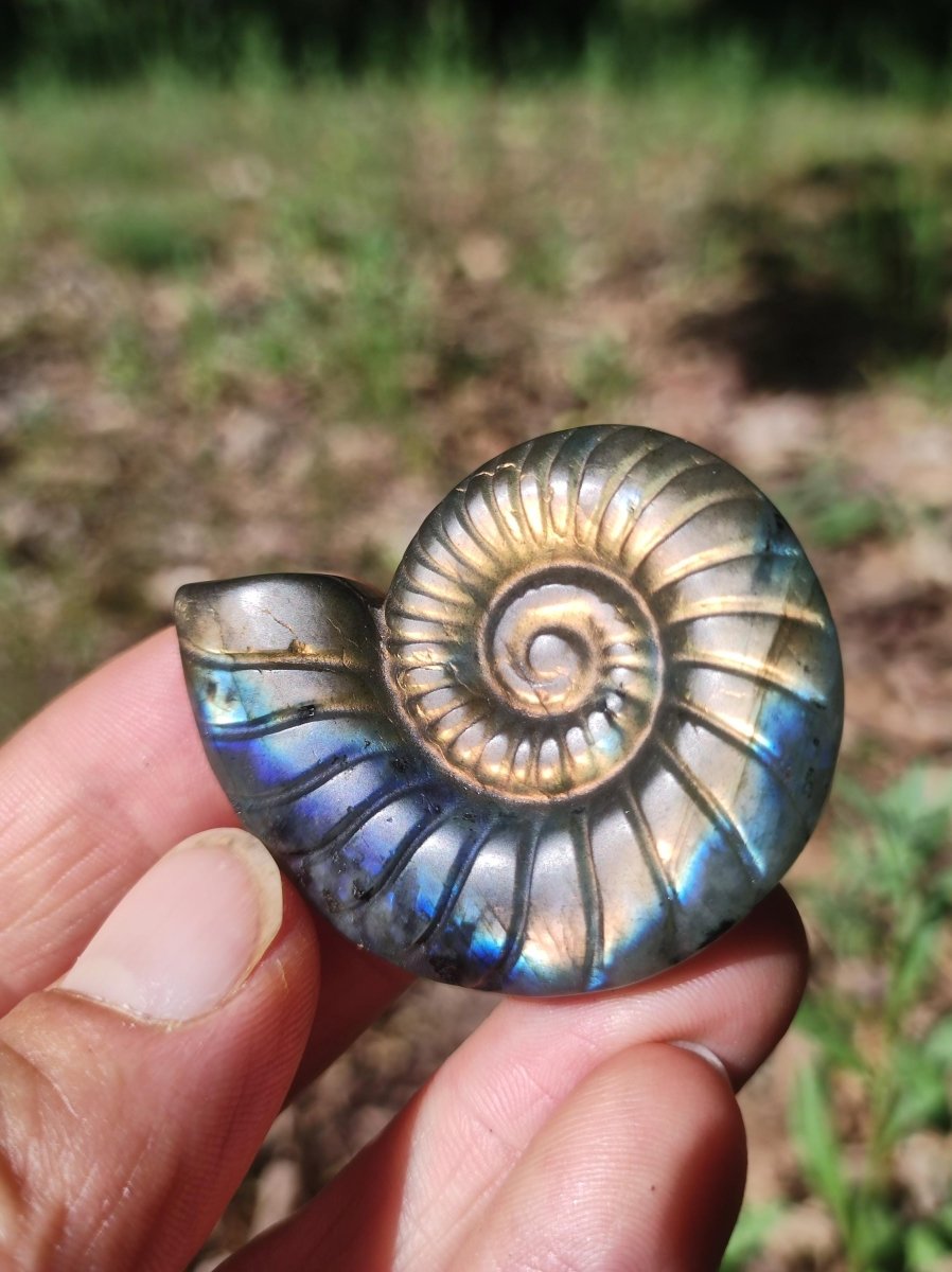 Labradorit AAA - Edelstein Ammonite Deko Kristall Spielkugel Meditation Heilstein Frau Mann Geschenk Er Sie Haus Energie Wohn Traum Schimmer - Art of Nature Berlin