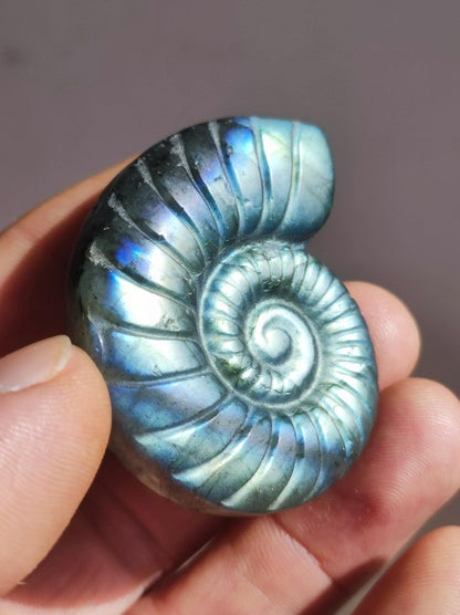 Labradorit AAA - Edelstein Ammonite Deko Kristall Spielkugel Meditation Heilstein Frau Mann Geschenk Er Sie Haus Energie Wohn Traum Schimmer - Art of Nature Berlin