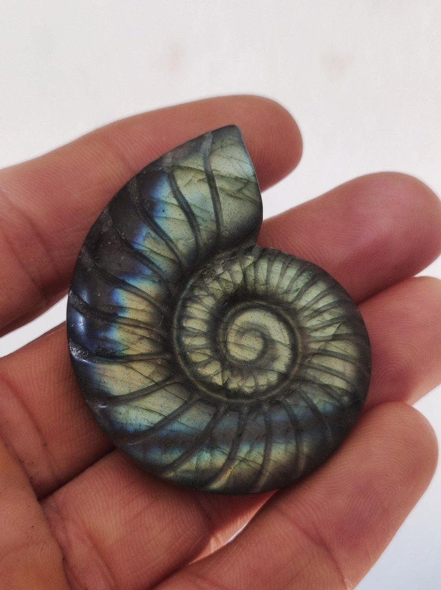 Labradorit AAA - Edelstein Ammonite Deko Kristall Spielkugel Meditation Heilstein Frau Mann Geschenk Er Sie Haus Energie Wohn Traum Schimmer - Art of Nature Berlin