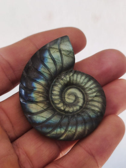 Labradorit AAA - Edelstein Ammonite Deko Kristall Spielkugel Meditation Heilstein Frau Mann Geschenk Er Sie Haus Energie Wohn Traum Schimmer - Art of Nature Berlin