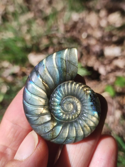 Labradorit AAA - Edelstein Ammonite Deko Kristall Spielkugel Meditation Heilstein Frau Mann Geschenk Er Sie Haus Energie Wohn Traum Schimmer - Art of Nature Berlin