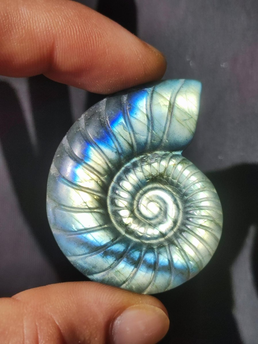 Labradorit AAA - Edelstein Ammonite Deko Kristall Spielkugel Meditation Heilstein Frau Mann Geschenk Er Sie Haus Energie Wohn Traum Schimmer - Art of Nature Berlin