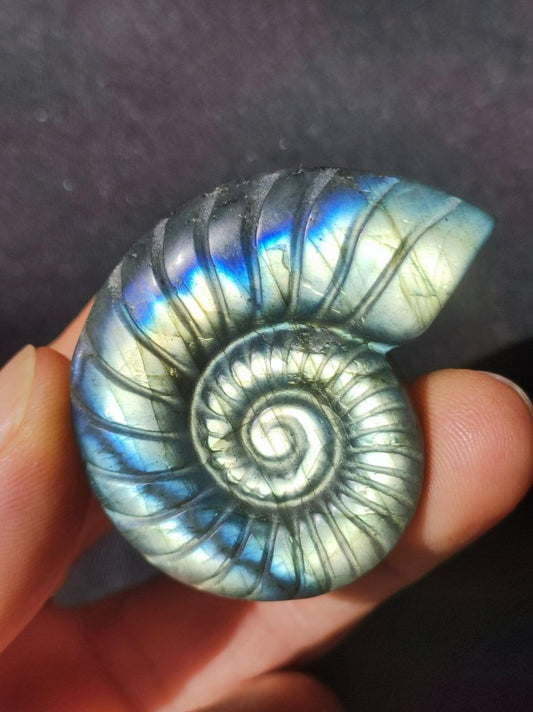 Labradorit AAA - Edelstein Ammonite Deko Kristall Spielkugel Meditation Heilstein Frau Mann Geschenk Er Sie Haus Energie Wohn Traum Schimmer - Art of Nature Berlin
