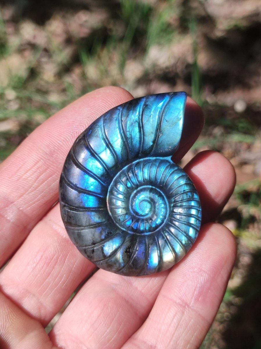 Labradorit AAA - Edelstein Ammonite Deko Kristall Spielkugel Meditation Heilstein Frau Mann Geschenk Er Sie Haus Energie Wohn Traum Schimmer - Art of Nature Berlin