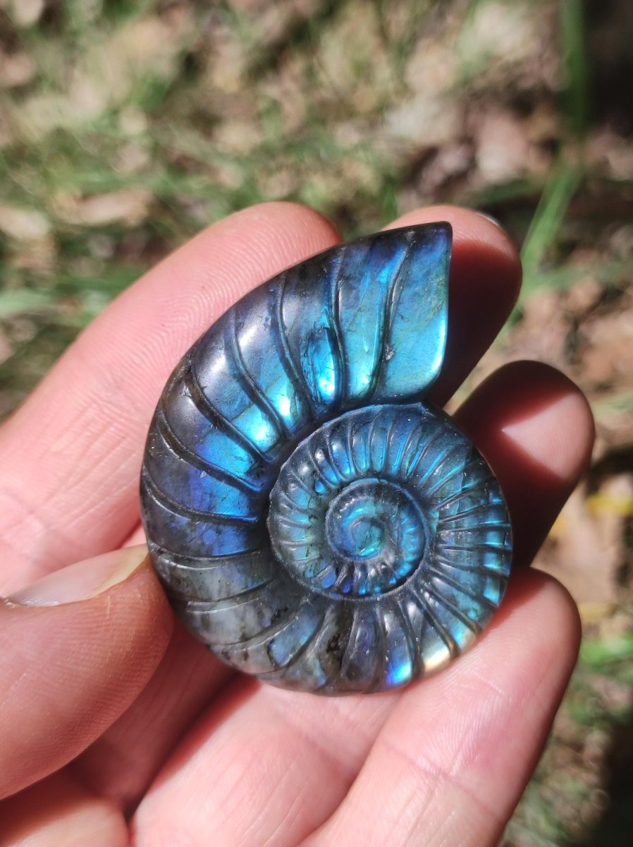 Labradorit AAA - Edelstein Ammonite Deko Kristall Spielkugel Meditation Heilstein Frau Mann Geschenk Er Sie Haus Energie Wohn Traum Schimmer - Art of Nature Berlin