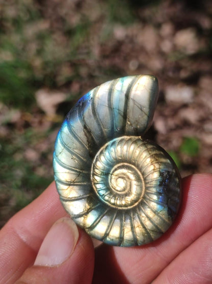 Labradorit AAA - Edelstein Ammonite Deko Kristall Spielkugel Meditation Heilstein Frau Mann Geschenk Er Sie Haus Energie Wohn Traum Schimmer - Art of Nature Berlin