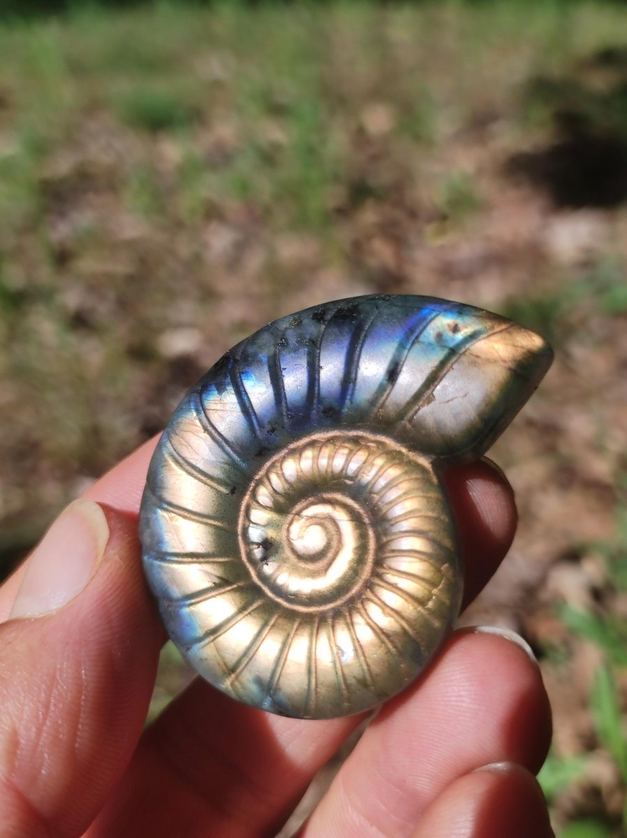 Labradorit AAA - Edelstein Ammonite Deko Kristall Spielkugel Meditation Heilstein Frau Mann Geschenk Er Sie Haus Energie Wohn Traum Schimmer - Art of Nature Berlin