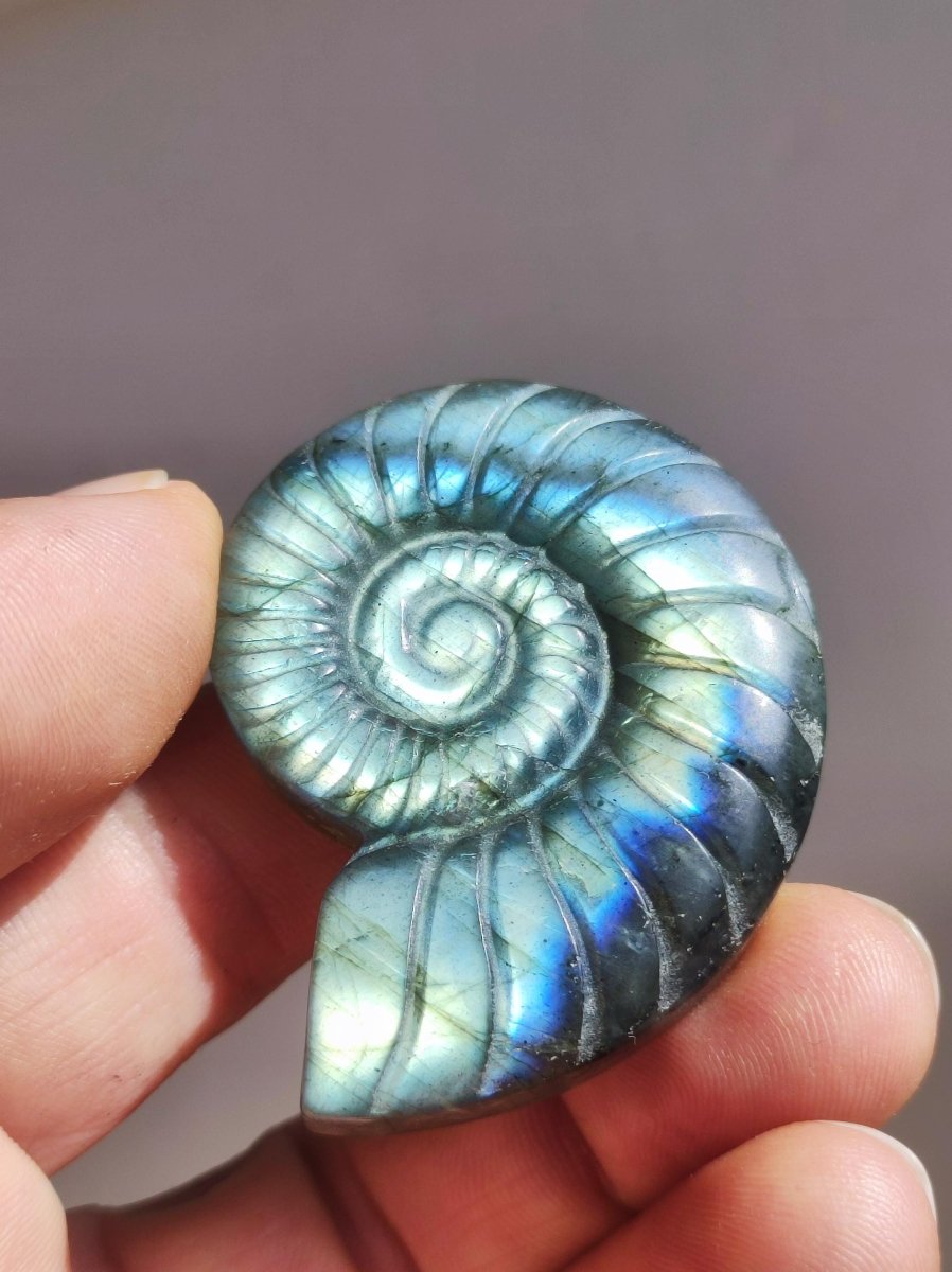 Labradorit AAA - Edelstein Ammonite Deko Kristall Spielkugel Meditation Heilstein Frau Mann Geschenk Er Sie Haus Energie Wohn Traum Schimmer - Art of Nature Berlin
