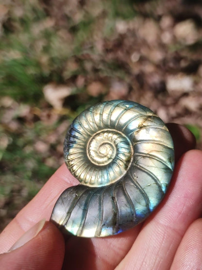 Labradorit AAA - Edelstein Ammonite Deko Kristall Spielkugel Meditation Heilstein Frau Mann Geschenk Er Sie Haus Energie Wohn Traum Schimmer - Art of Nature Berlin