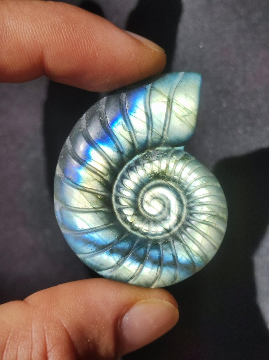 Labradorit AAA - Edelstein Ammonite Deko Kristall Spielkugel Meditation Heilstein Frau Mann Geschenk Er Sie Haus Energie Wohn Traum Schimmer - Art of Nature Berlin