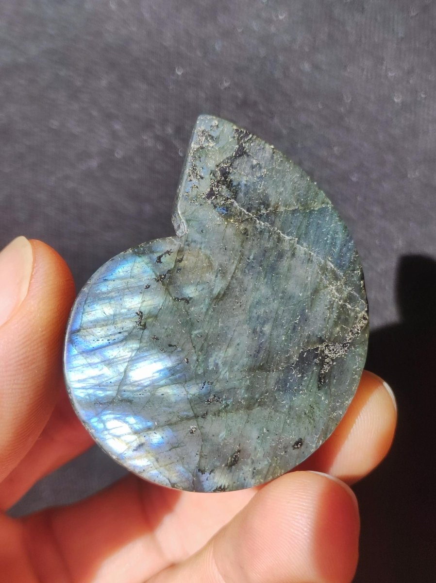 Labradorit AAA - Edelstein Ammonite Deko Kristall Spielkugel Meditation Heilstein Frau Mann Geschenk Er Sie Haus Energie Wohn Traum Schimmer - Art of Nature Berlin