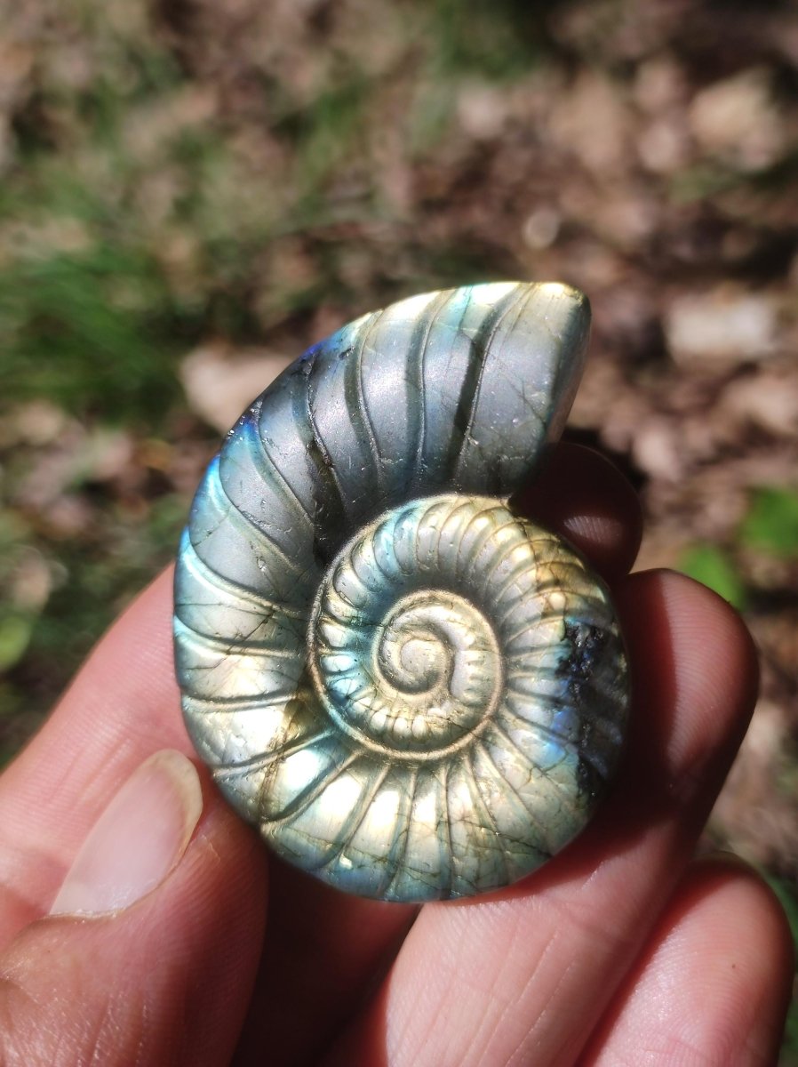 Labradorit AAA - Edelstein Ammonite Deko Kristall Spielkugel Meditation Heilstein Frau Mann Geschenk Er Sie Haus Energie Wohn Traum Schimmer - Art of Nature Berlin