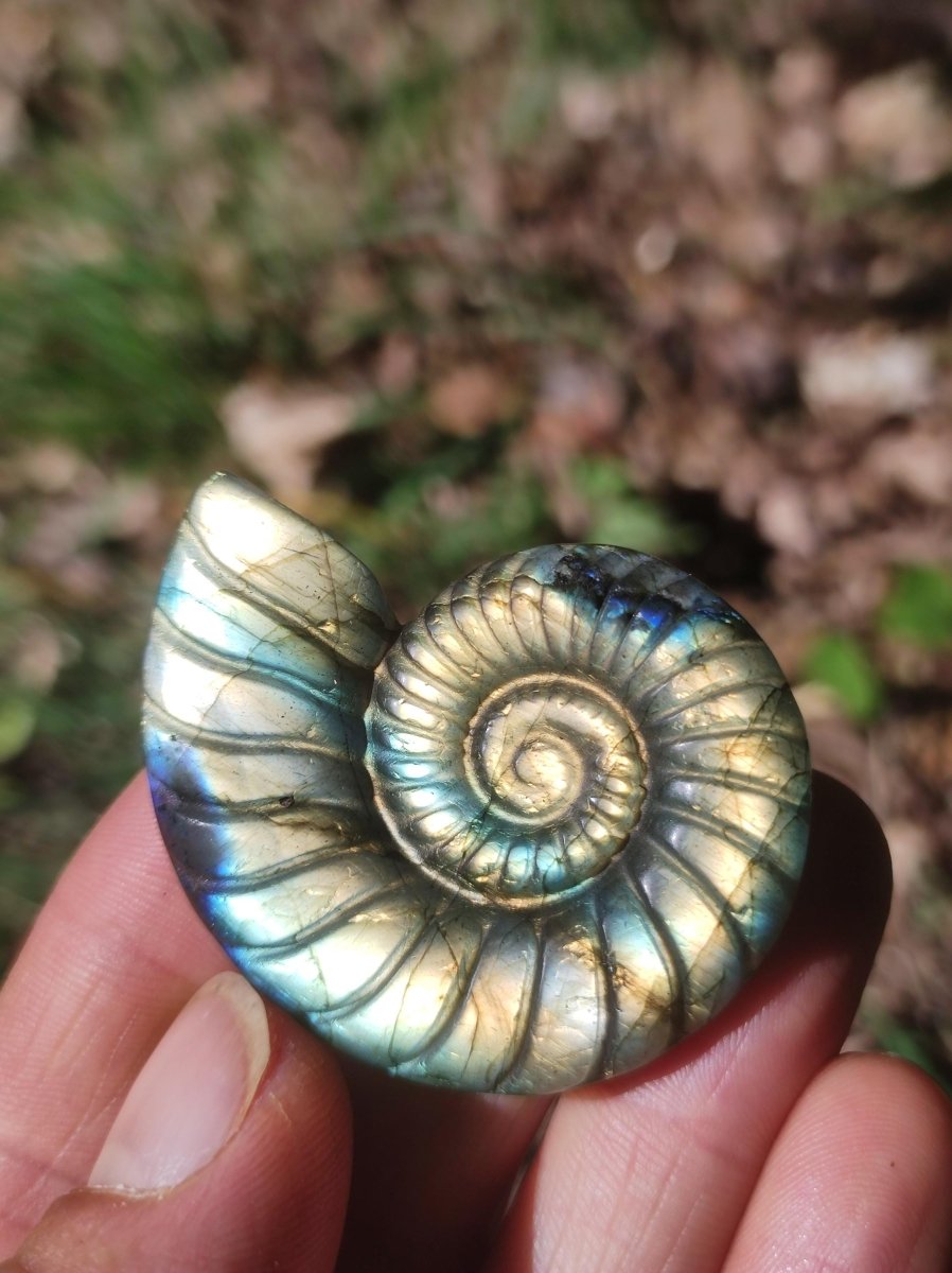 Labradorit AAA - Edelstein Ammonite Deko Kristall Spielkugel Meditation Heilstein Frau Mann Geschenk Er Sie Haus Energie Wohn Traum Schimmer - Art of Nature Berlin
