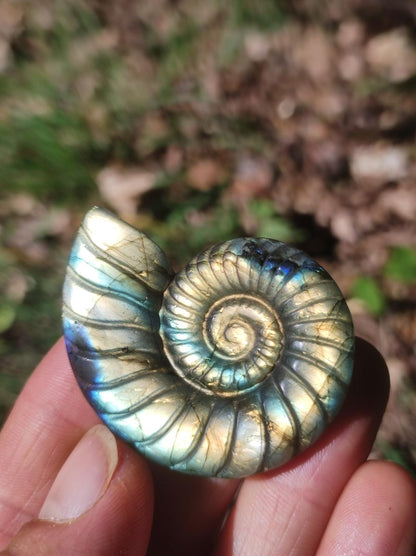 Labradorit AAA - Edelstein Ammonite Deko Kristall Spielkugel Meditation Heilstein Frau Mann Geschenk Er Sie Haus Energie Wohn Traum Schimmer - Art of Nature Berlin