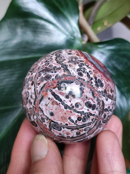 Leoparden Jaspis rot gelb ~ Magische Edelstein Kugel Sammler Deko Kristall Crystal Sphere Meditation Haus Wohnen Energie Chakra Heilstein - Art of Nature Berlin