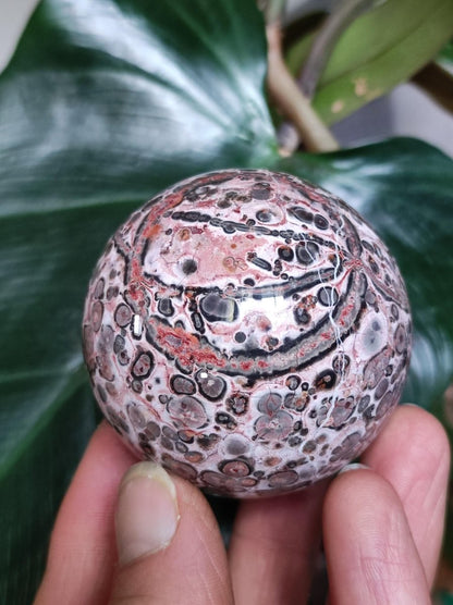 Leoparden Jaspis rot gelb ~ Magische Edelstein Kugel Sammler Deko Kristall Crystal Sphere Meditation Haus Wohnen Energie Chakra Heilstein - Art of Nature Berlin