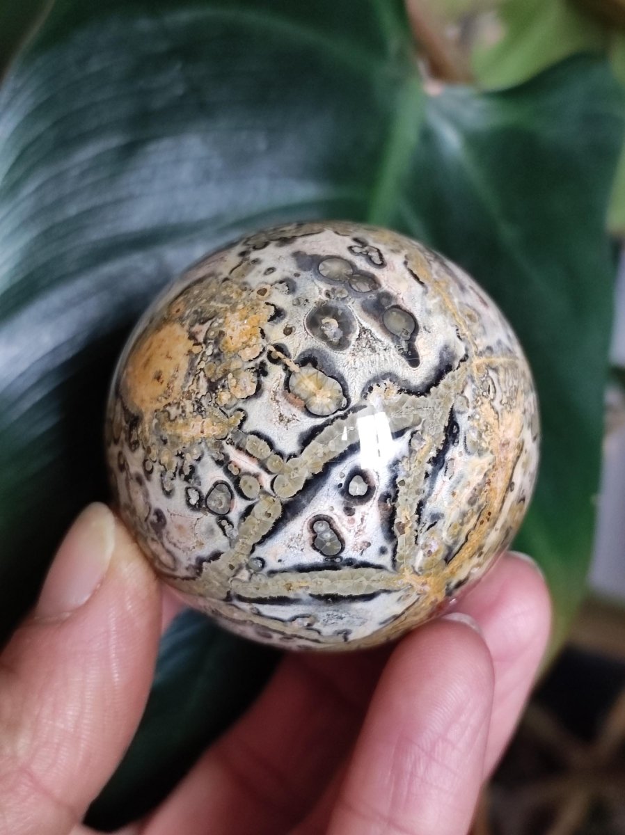 Leoparden Jaspis rot gelb ~ Magische Edelstein Kugel Sammler Deko Kristall Crystal Sphere Meditation Haus Wohnen Energie Chakra Heilstein - Art of Nature Berlin