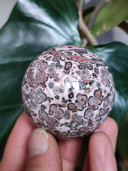 Leoparden Jaspis rot gelb ~ Magische Edelstein Kugel Sammler Deko Kristall Crystal Sphere Meditation Haus Wohnen Energie Chakra Heilstein - Art of Nature Berlin