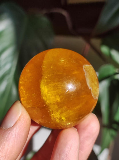 Mica Fluorit Gelb AAA Edelstein Kugel Deko Sphere Massage Kristall Sammler Meditation Heilstein Frau Mann Geschenk Er Sie Haus Wohn Energie - Art of Nature Berlin