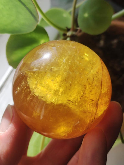Mica Fluorit Gelb AAA Edelstein Kugel Deko Sphere Massage Kristall Sammler Meditation Heilstein Frau Mann Geschenk Er Sie Haus Wohn Energie - Art of Nature Berlin