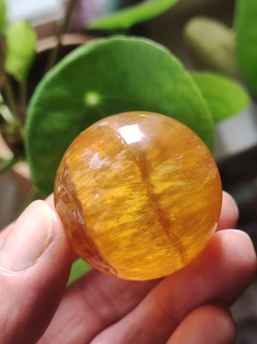 Mica Fluorit Gelb AAA Edelstein Kugel Deko Sphere Massage Kristall Sammler Meditation Heilstein Frau Mann Geschenk Er Sie Haus Wohn Energie - Art of Nature Berlin