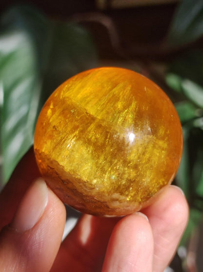 Mica Fluorit Gelb AAA Edelstein Kugel Deko Sphere Massage Kristall Sammler Meditation Heilstein Frau Mann Geschenk Er Sie Haus Wohn Energie - Art of Nature Berlin