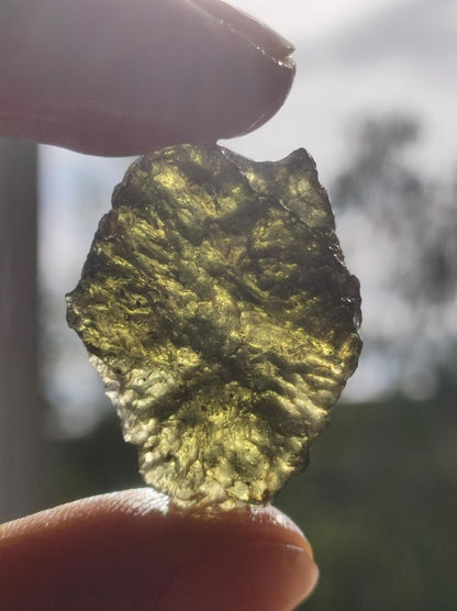 Museumsqualität Moldavit Meteorit Tektit Sammler Mineral Heilstein Energie Spirituell Kraft Hochwertig Investition Rarität AAA - Art of Nature Berlin