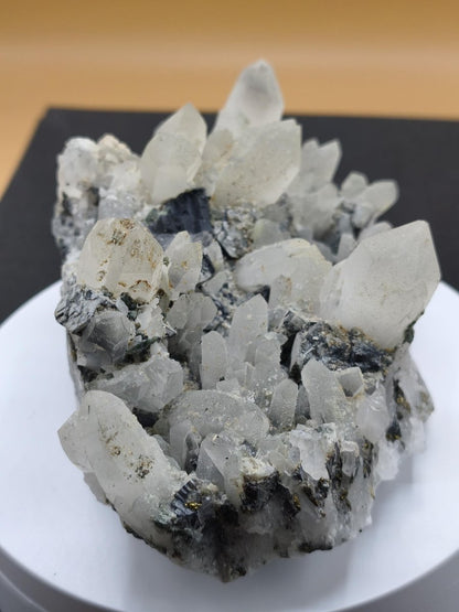 Museumsstück Bergkristall mit Kupferkies & Bleiglanz – metallische Begleitminerale, Madan Bulgarien, große Stufe Kristall Sammler Mineral - Art of Nature Berlin