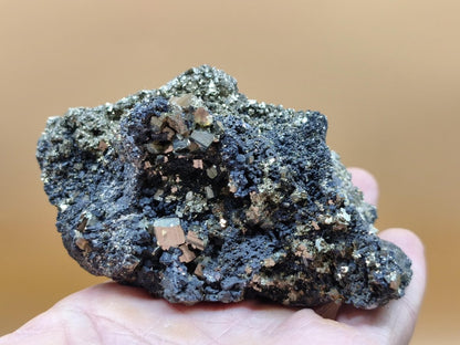Museumsstück Pyrit auf Zinkblende & Bleiglanz – goldene Pyritwürfel – außergewöhnliche Erzstufe Madan Bulgarien – große Mehrmineral Kristall - Art of Nature Berlin