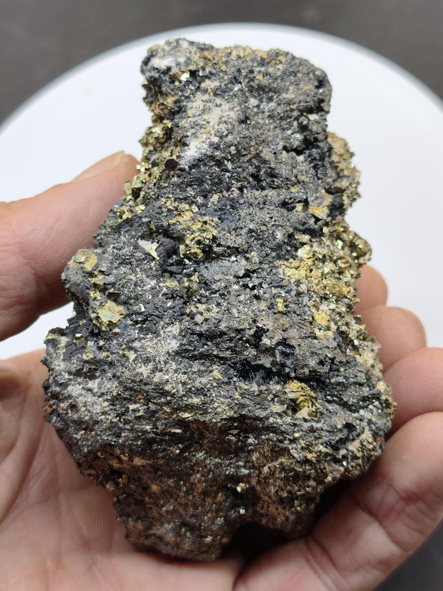 Museumsstück Pyrit auf Zinkblende & Bleiglanz – goldene Pyritwürfel – außergewöhnliche Erzstufe Madan Bulgarien – große Mehrmineral Kristall - Art of Nature Berlin