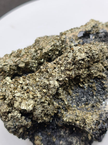 Museumsstück Pyrit auf Zinkblende & Bleiglanz – goldene Pyritwürfel – außergewöhnliche Erzstufe Madan Bulgarien – große Mehrmineral Kristall - Art of Nature Berlin