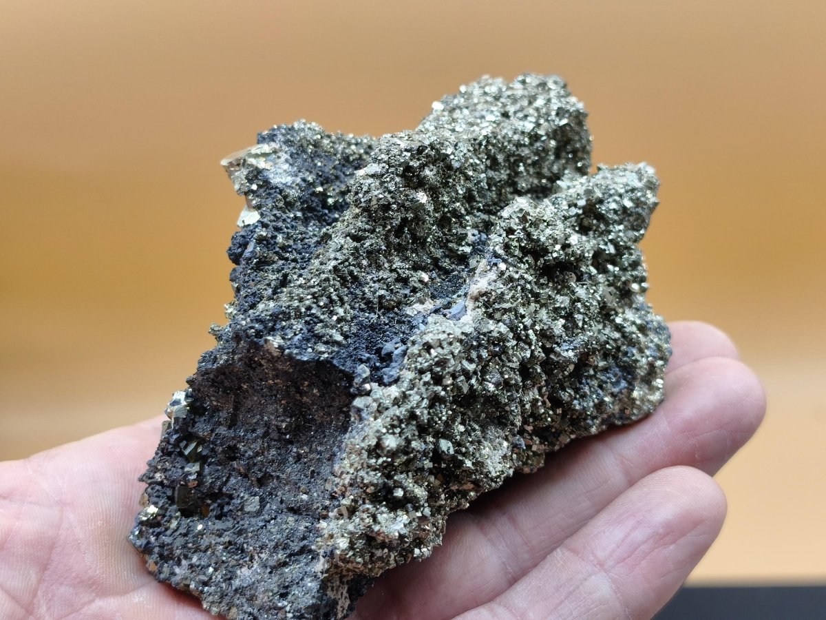 Museumsstück Pyrit auf Zinkblende & Bleiglanz – goldene Pyritwürfel – außergewöhnliche Erzstufe Madan Bulgarien – große Mehrmineral Kristall - Art of Nature Berlin