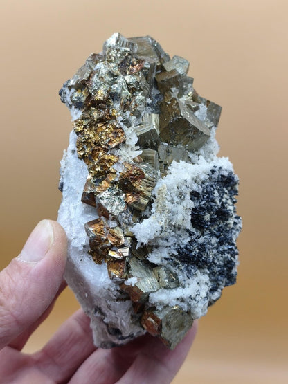 Museumsstück Pyrit Zinkblende Quarz Chalkopyrit – Madan Bulgarien – große Mehrmineral Stufe Kristall Sammler Geschenk Unikat - Art of Nature Berlin