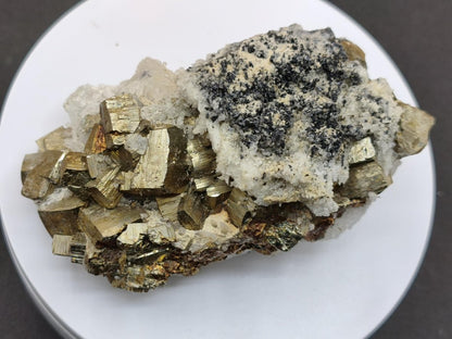 Museumsstück Pyrit Zinkblende Quarz Chalkopyrit – Madan Bulgarien – große Mehrmineral Stufe Kristall Sammler Geschenk Unikat - Art of Nature Berlin