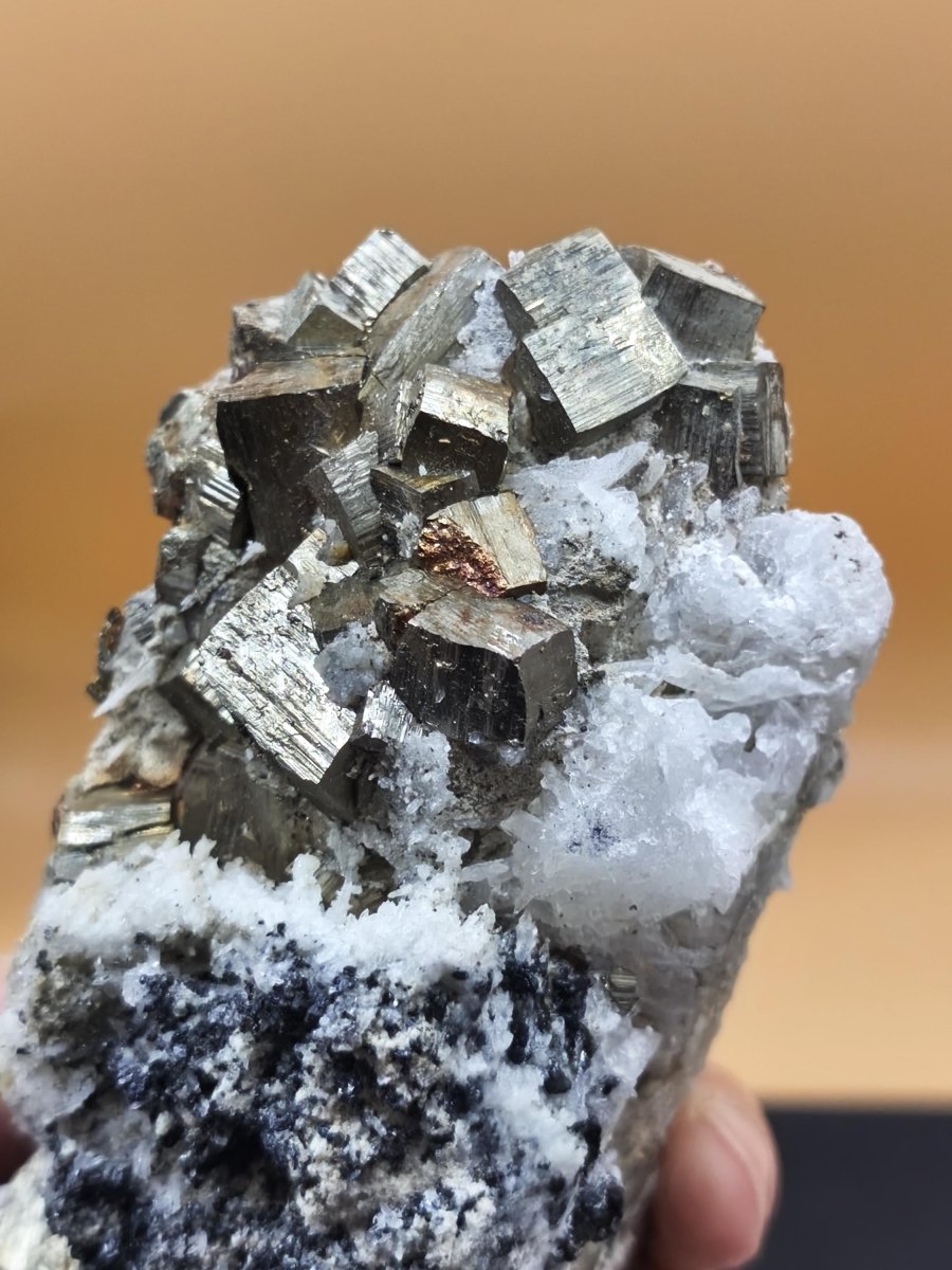 Museumsstück Pyrit Zinkblende Quarz Chalkopyrit – Madan Bulgarien – große Mehrmineral Stufe Kristall Sammler Geschenk Unikat - Art of Nature Berlin