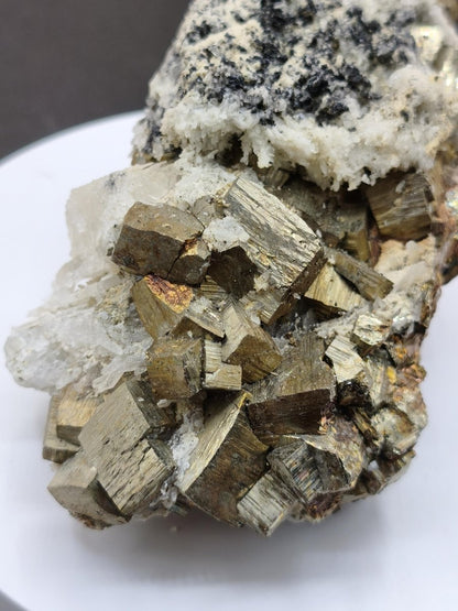Museumsstück Pyrit Zinkblende Quarz Chalkopyrit – Madan Bulgarien – große Mehrmineral Stufe Kristall Sammler Geschenk Unikat - Art of Nature Berlin